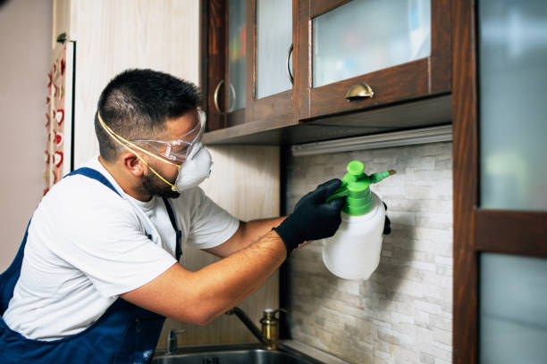 Best Residential Pest Control  in Mammoth, AZ