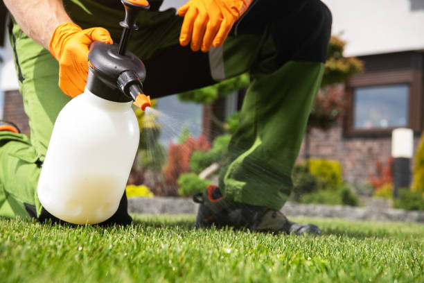 Best Exterminator Services  in Mammoth, AZ