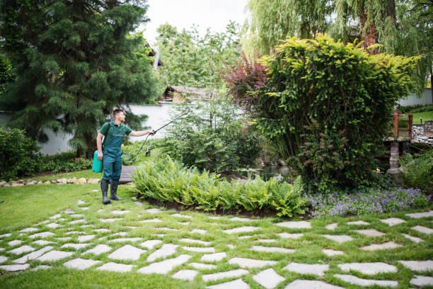 Best Best Pest Control Near Me  in Mammoth, AZ